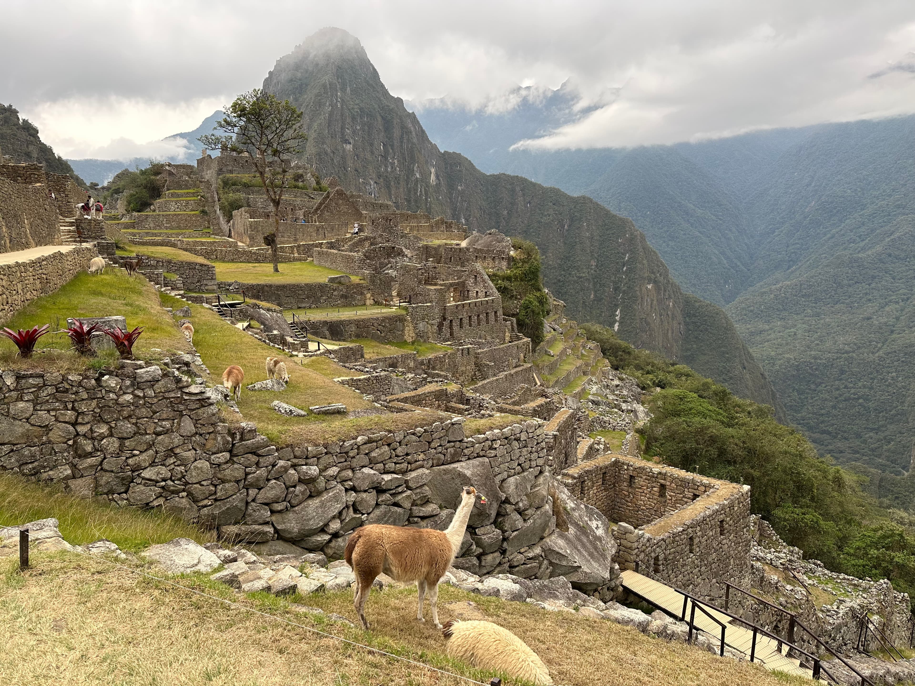 Machu Picchu, Pérou